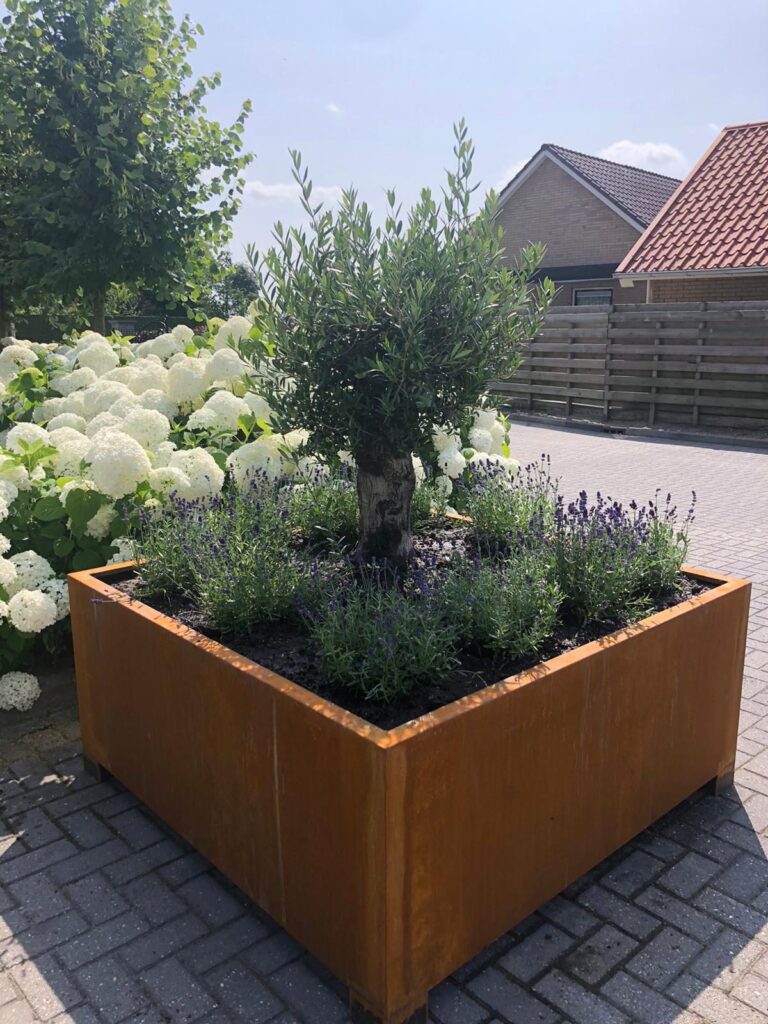 cortenstaal plantenbak